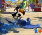Rio onun kahramanları üç film: macaws Blu, Jewel ve plajda tucan Rafael